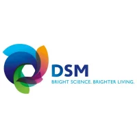 dsm-.png