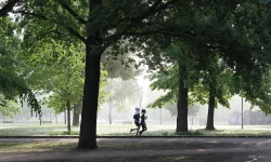 jogging-4211946_1280